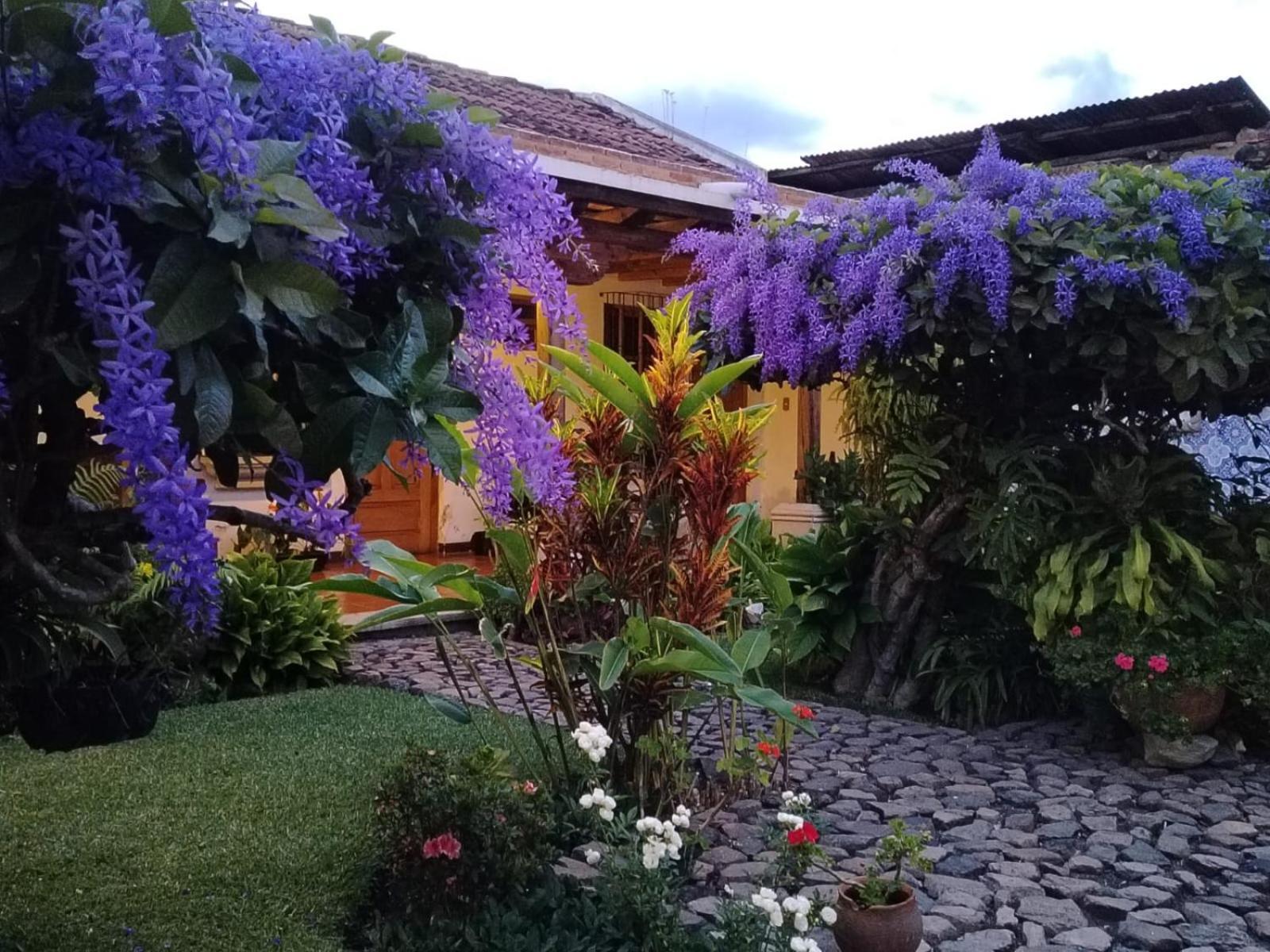Hostal San Nicolas Antigua Exterior photo